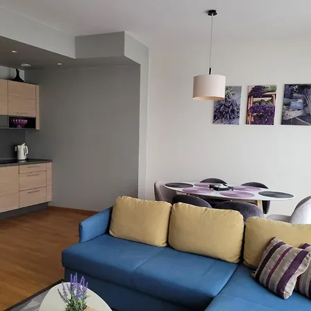 Saules Sonata Etude شقة *