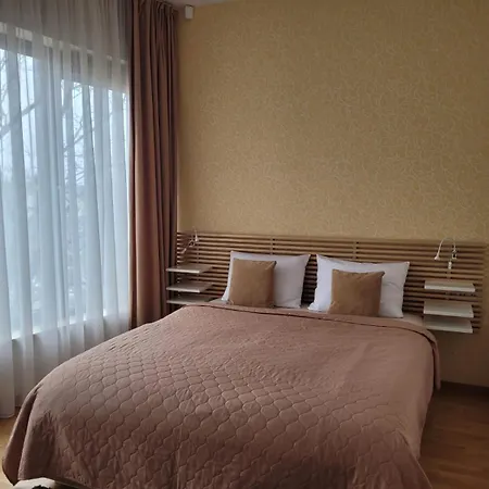 Saules Sonata Etude دروسكينينكاي